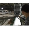 工業(yè)大吊扇，工業(yè)大風(fēng)扇，大風(fēng)扇